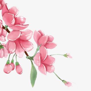 粉色桃花PNG下载免抠