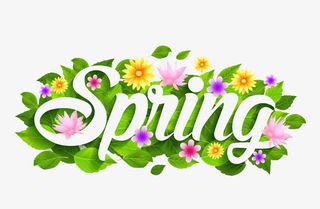 花朵绿色映衬的春天免抠