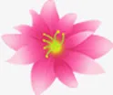 粉色卡通春天多层花朵免抠