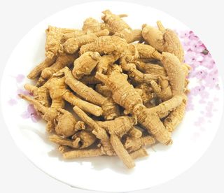 花旗参 粒头花旗参 药材 补品免抠