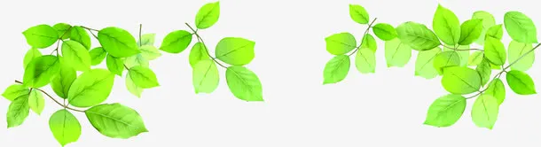 绿色清新手绘树叶装饰春天免抠