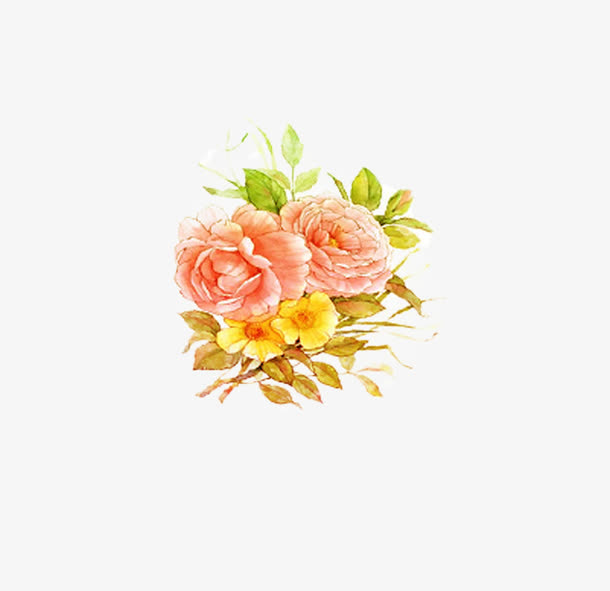 手绘牡丹花免抠