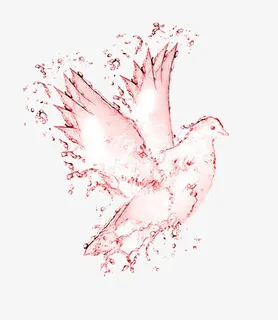 酒汁合成的鸽子免抠