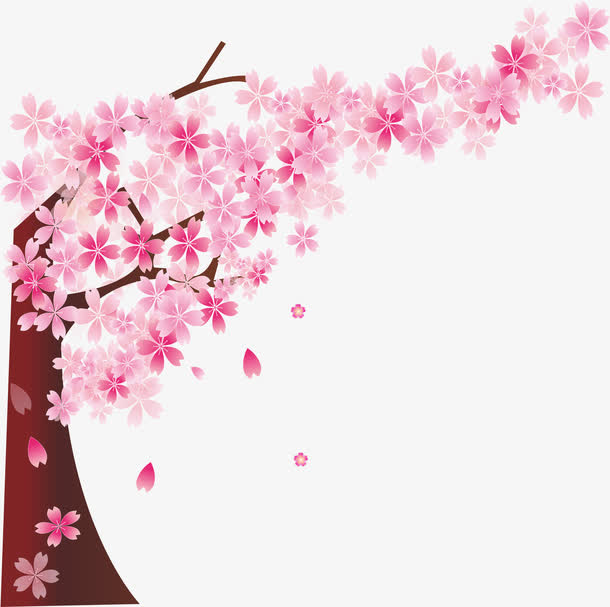 粉色樱花树免抠