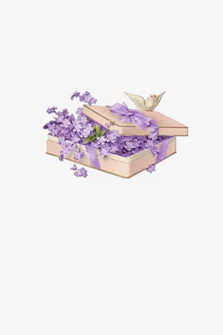 花礼盒装饰免抠