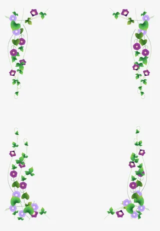牵牛花枝条边框免抠