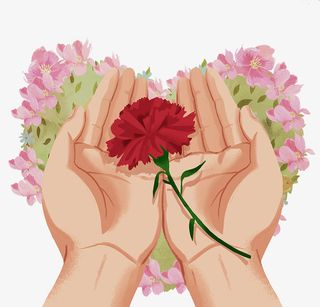 手绘装饰插图母亲节插画手捧康乃免抠
