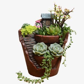 多肉植物组合室内盆栽免抠