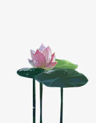 古风图标现代元素素材免抠