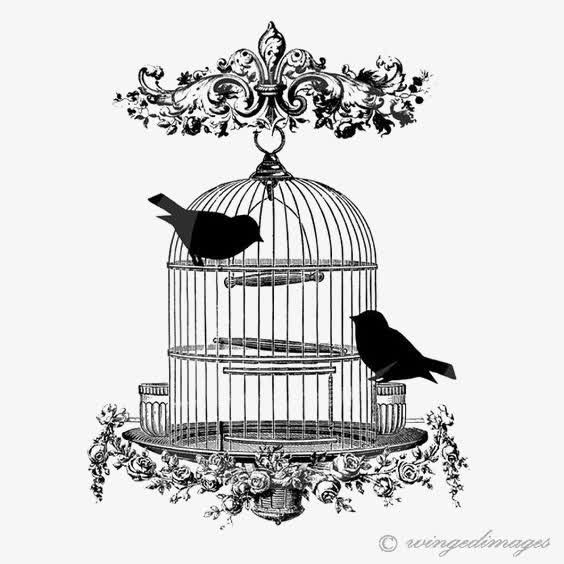 鸟笼免抠