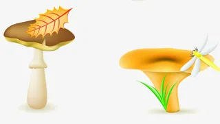 蘑菇植物免抠