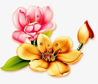黄色红色荷花免抠