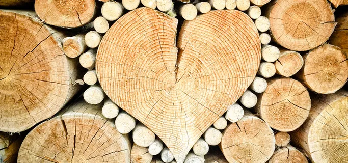 情人节清新黄色海报banner背景高清