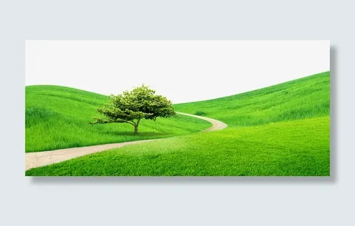 绿地小路大树边框纹理免抠