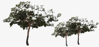 冬日雪景异域风景免抠