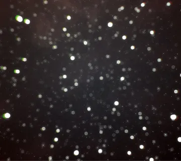 白色漂浮雪花白点免抠