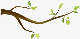 卡通绿叶树枝装饰图案免抠