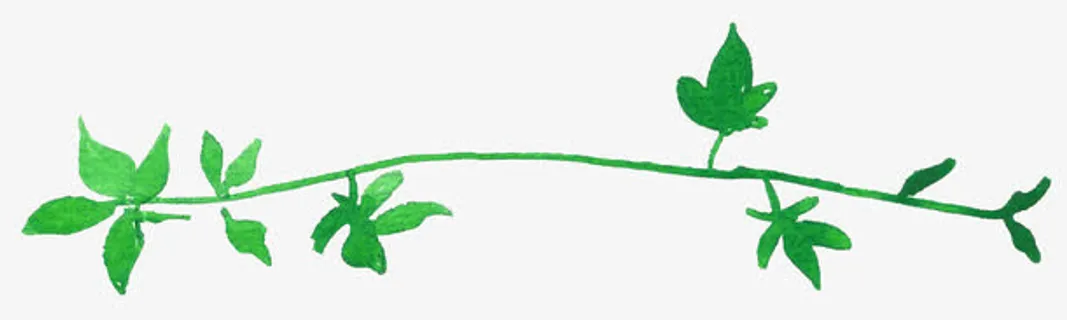 绿色藤蔓植物免抠