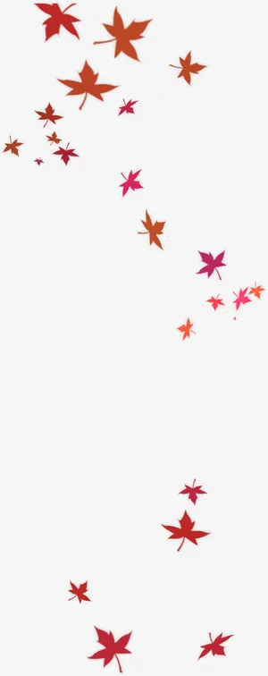 飘浮的枫叶免抠