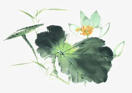 装饰莲花免抠 装饰莲花免抠