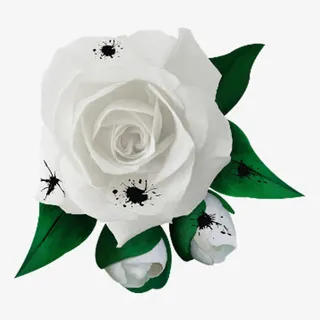 白色月季花免抠