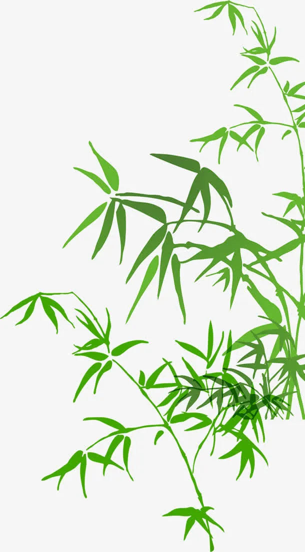 端午毛竹叶子彩绘竹子免抠