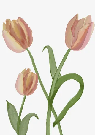 水彩效果手绘花朵免抠