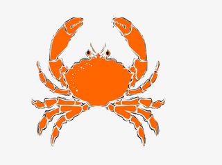 黄色的螃蟹素材图片免抠