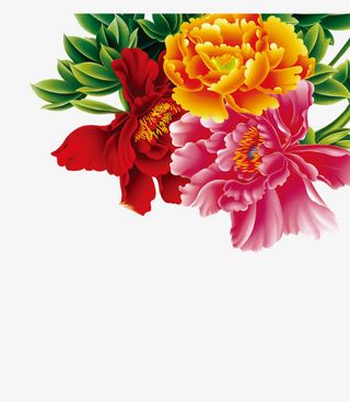 节日海报手绘摄影花朵免抠