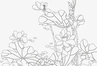 线条荷花png高清图免抠