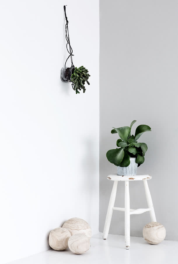 白色墙壁绿色植物免抠