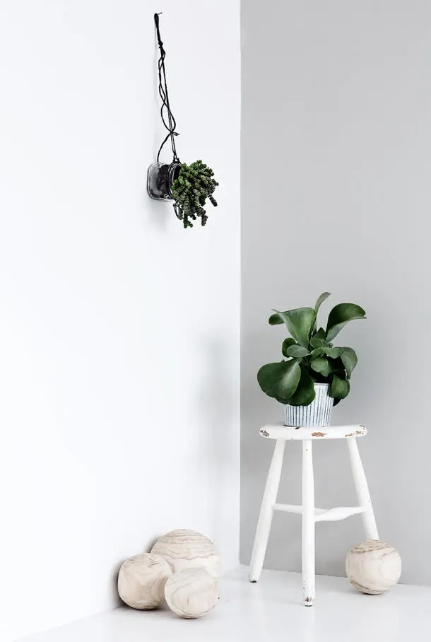 白色墙壁绿色植物免抠