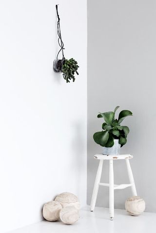 白色墙壁绿色植物免抠