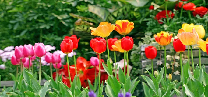 淘宝背景图高清