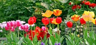 淘宝背景图高清