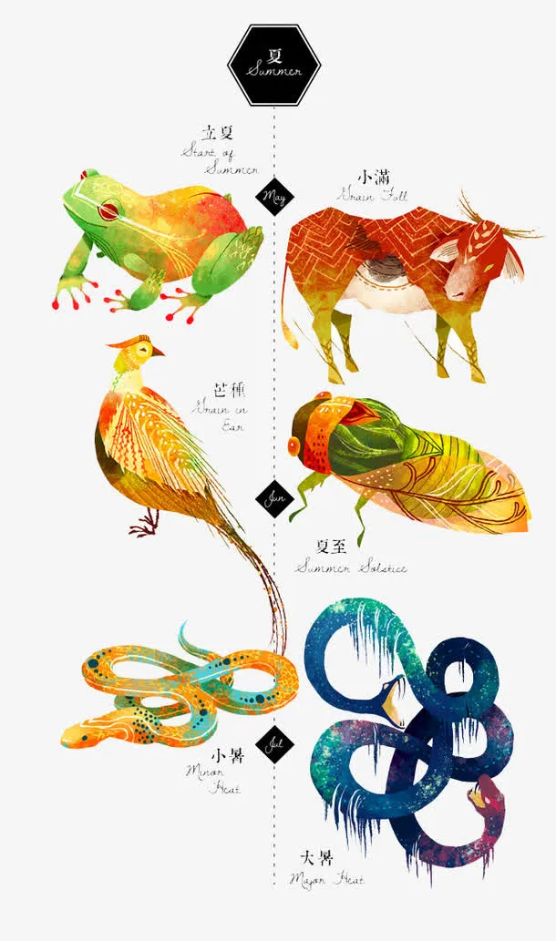 夏天的元素免抠