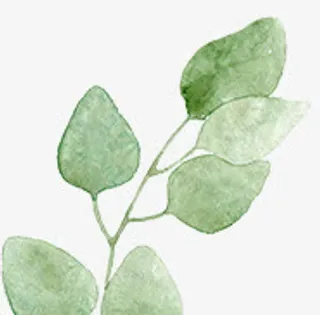 夏日海报服装元素特效图免抠