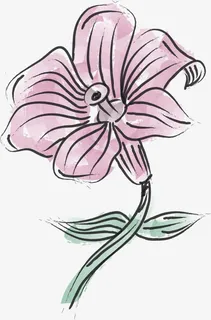 手绘水彩花卉免抠