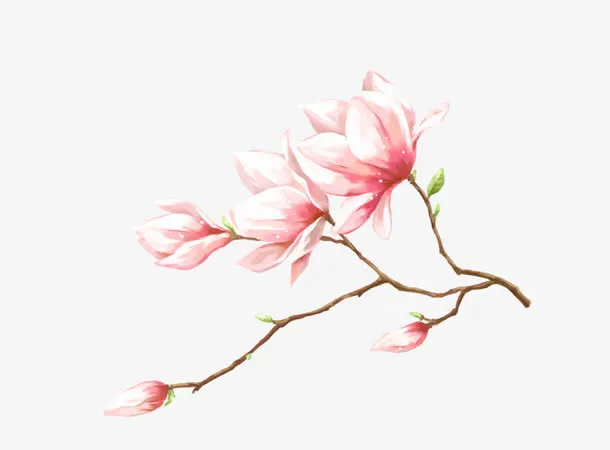 手绘粉色桃花免抠