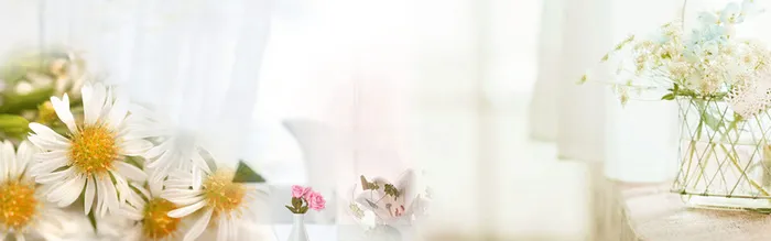简约清新花卉banner高清
