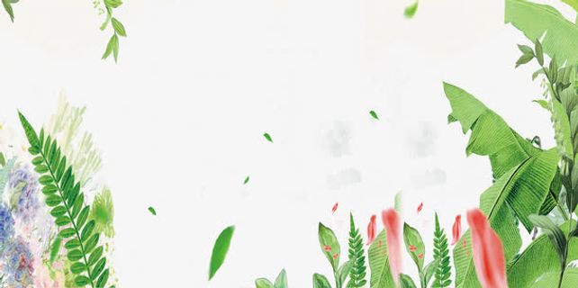 春上新背景素材