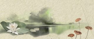 清明节水墨风荷花莲子海报banner高清