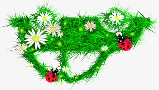 绿色清新春天小草汽车瓢虫免抠