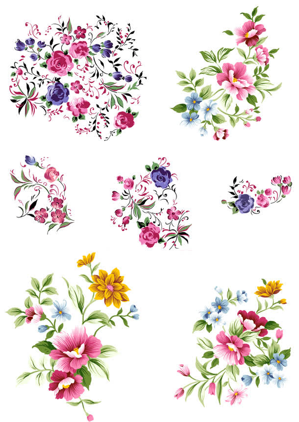九月菊菊花手绘菊花中秋节免抠