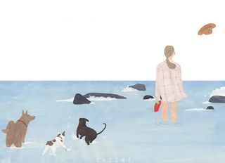 玩耍戏水小狗自由免抠