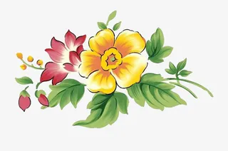 矢量开放的花朵免抠