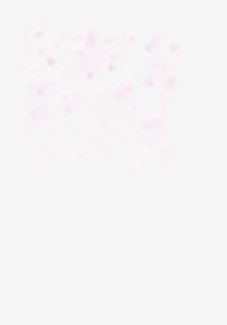 粉色花瓣光晕背景1