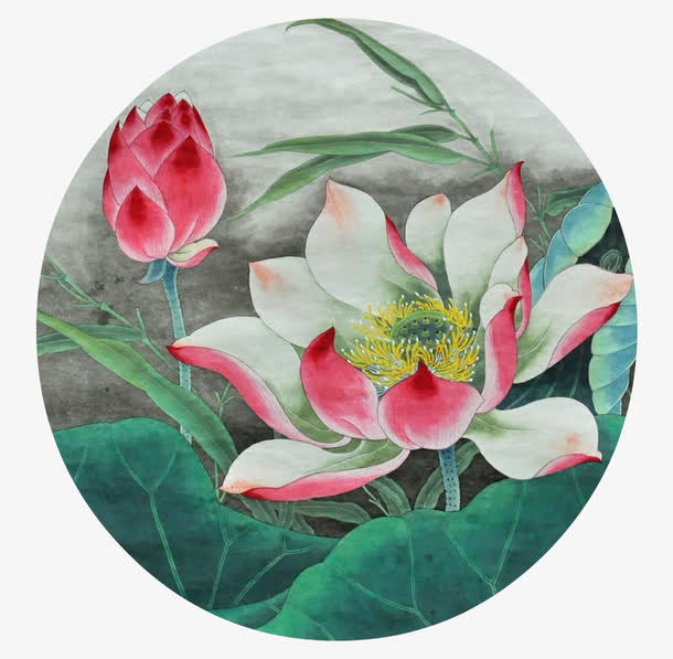 工笔红莲花免抠