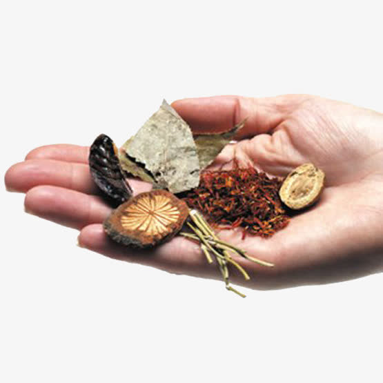 中药药材免抠