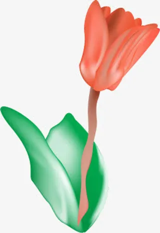 教师节红花绿叶海报免抠